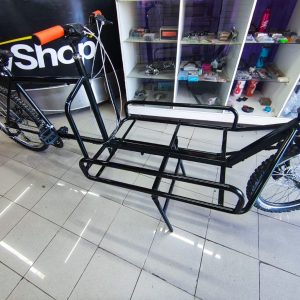 Cargo bike Antonov