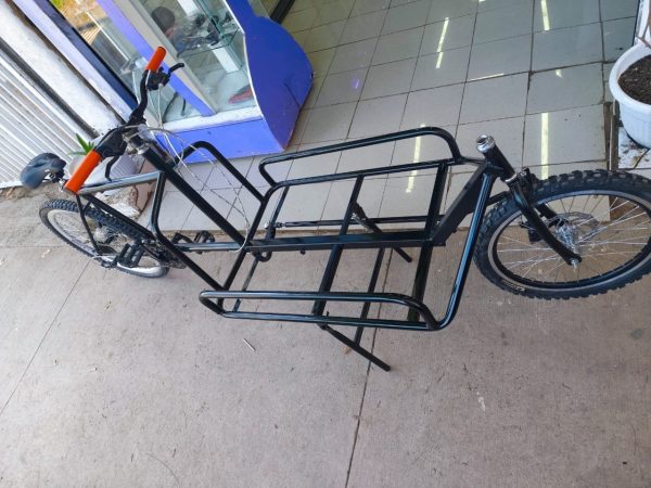 Cargo bike Antonov - Imagen 4