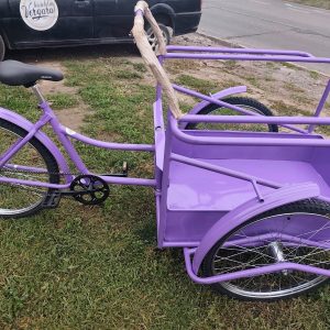 🚲 Triciclo “Seiden Show” – Estilo, carga y presencia